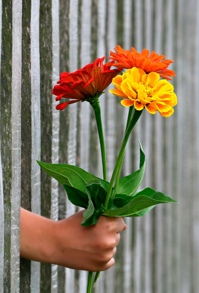 Blog Interflora - Reglas de protocolo. Regalar flores