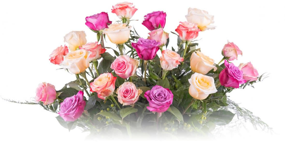 Envía flores el Día de los Enamorados