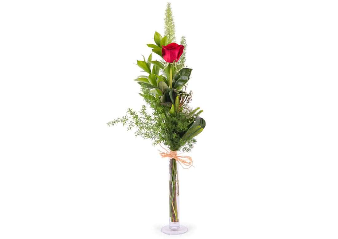 Mensajes de amor con rosas entregadas en mano en Sant Jordi