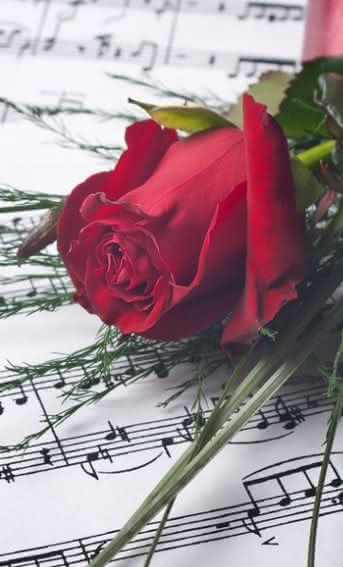 Regala flores y música en San Valentín