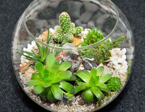 Complementos para tu regalo de Navidad