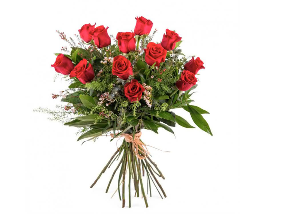Consejos a diario y flores por más tiempo