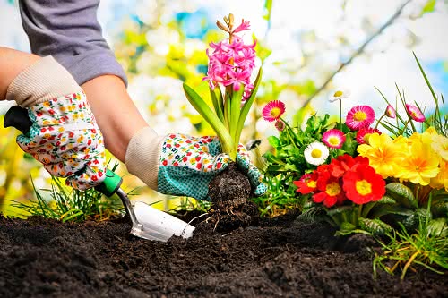 Celebra la primavera y Sant Jordi entre flores