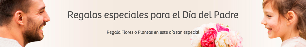 Regalos por el día del padre