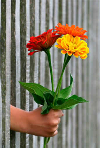 Blog Interflora - Reglas de protocolo. Regalar flores