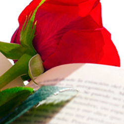Interflora - Fiestas de Sant Jordi