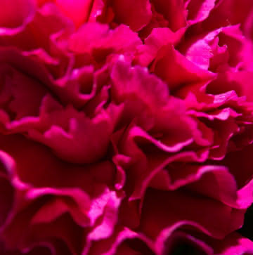Enviar flores de condolencias