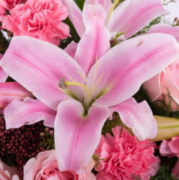 Ramo rosas color rosa