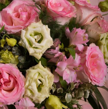 Enviar rosas en tonos rosas