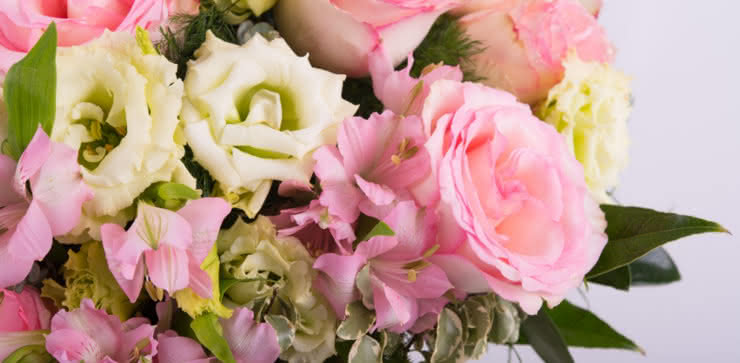 Enviar rosas y lisianthus a domicilio