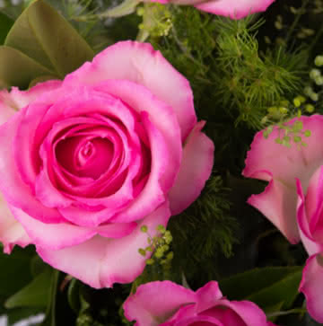 Enviar centro de rosas