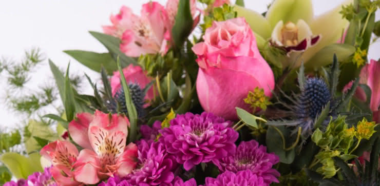 Enviar un ramo con rosas y orquídeas
