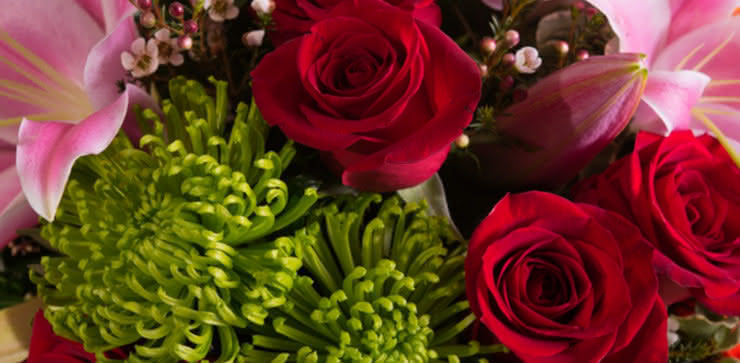 Enviar rosas, liliums y gerberas