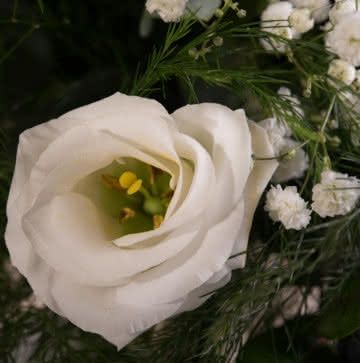 Enviar ramo con rosas amarillas